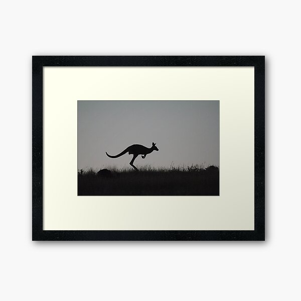 Kangaroo on the Move, against a Darkening Sky - Whittlesea, Victoria Framed Art Print