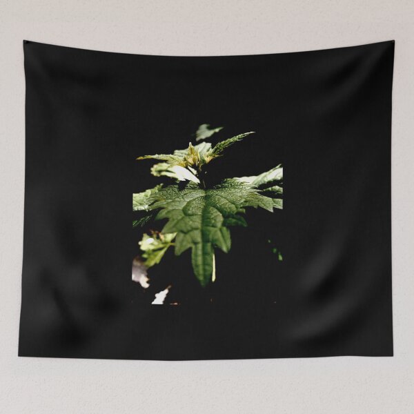 Item preview, Mysterious Wilderness designed and sold by IBMClothing.