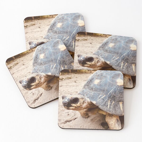 Item preview, Turtle in Madagascar designed and sold by Nadinski76.