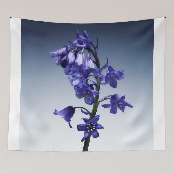 Item preview, The beautiful british Bluebell. No.2 designed and sold by Phillip Thornton.