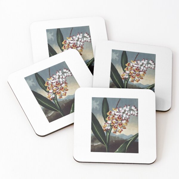 Item preview, Shell Ginger designed and sold by minimalcinema.