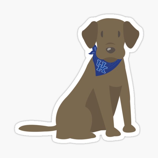 "University of Kentucky Dog, Chocolate brown lab" Sticker by missavaw