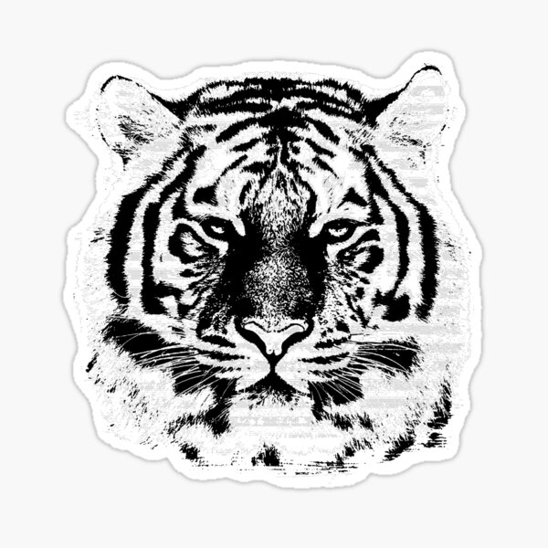 Aperçu de l'œuvre Visage de tigre noir et blanc créée et vendue par enhan.