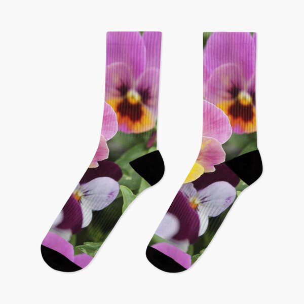 Item preview, Italian Garden Photography- Colorful Pansy designed and sold by designenrich.