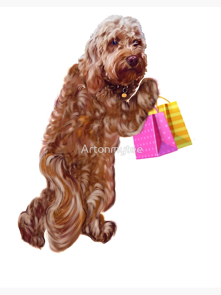 cavapoo shop