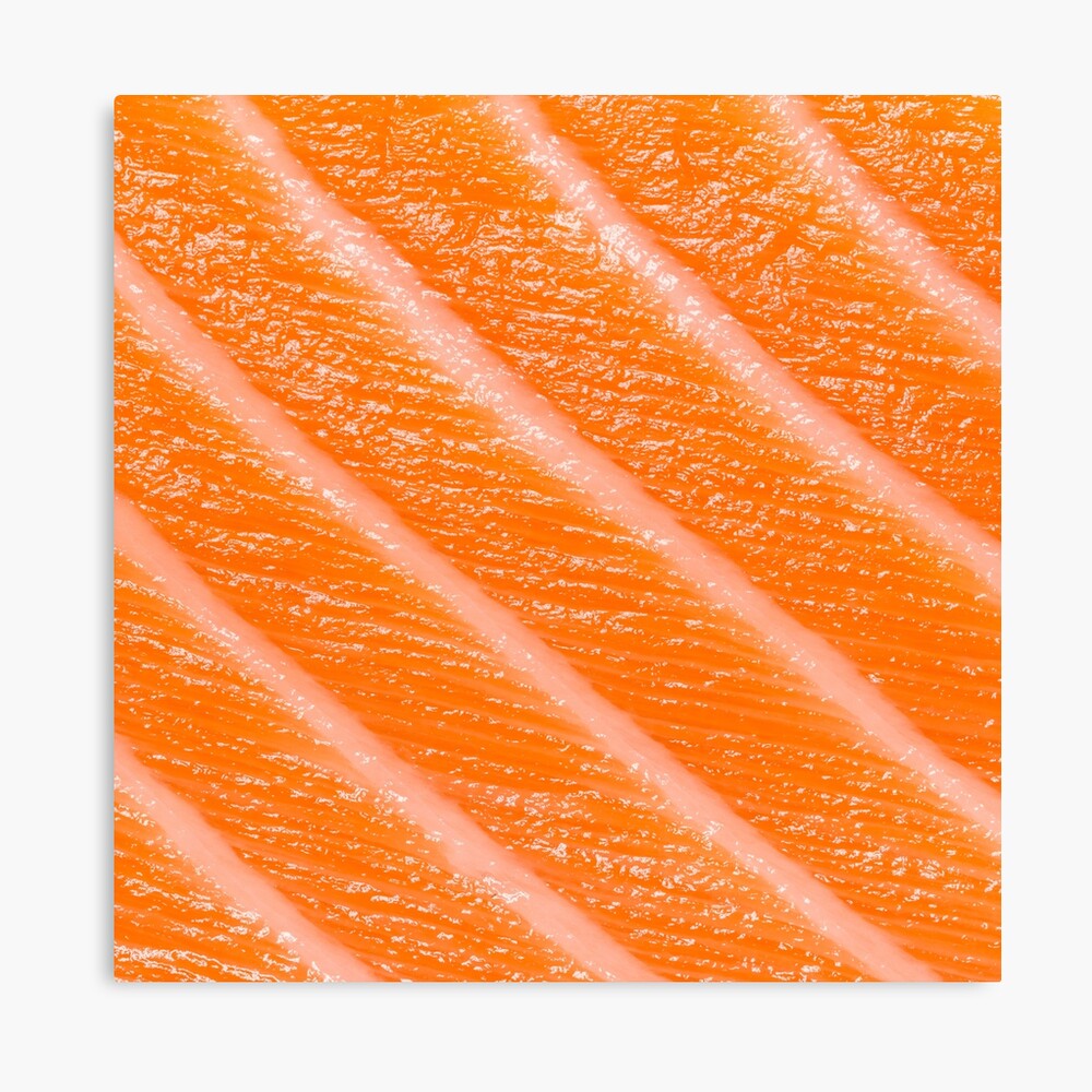 salmon sushi pillow