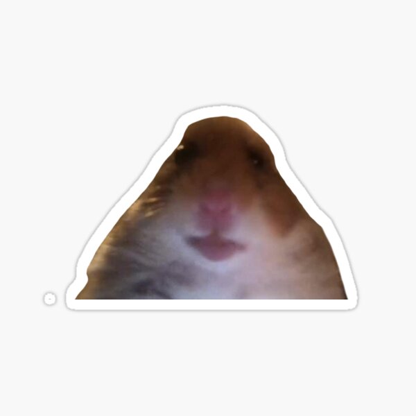 Hamster Meme Stickers Redbubble