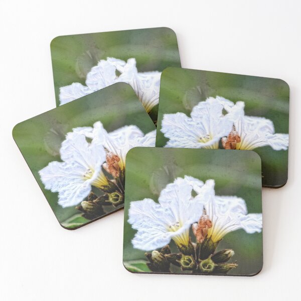 Artikelvorschau, Olive You - Olive Flower Art By Sharon Cummings entworfen und verkauft von Sharon Cummings Art.