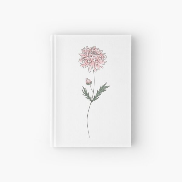 November Birth Month Flower | Chrysanthemum
