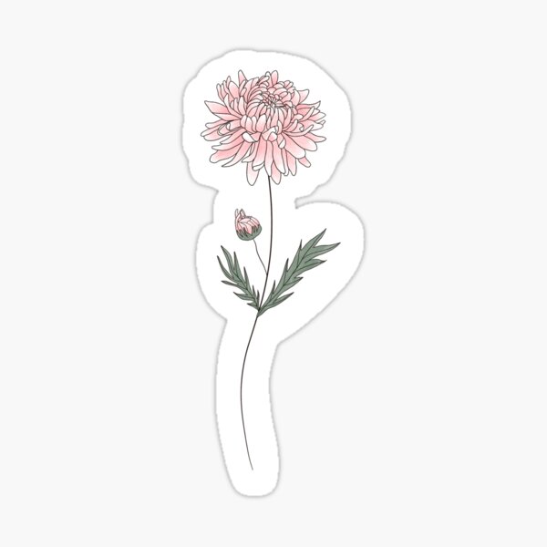 Chrysanthemum Stickers for Sale  Redbubble