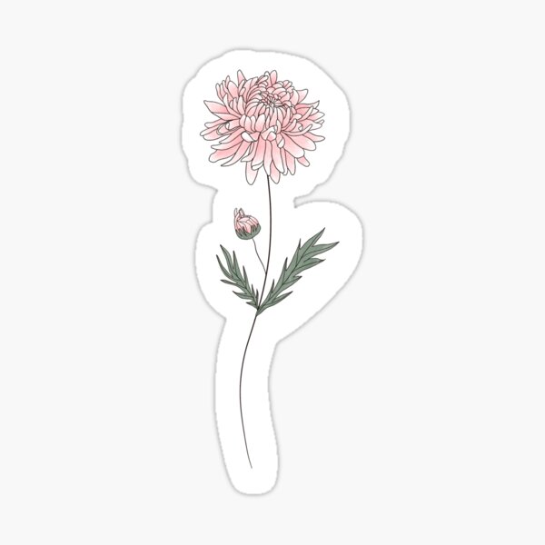 Birth month flower stickers – lyonslegacydesigns