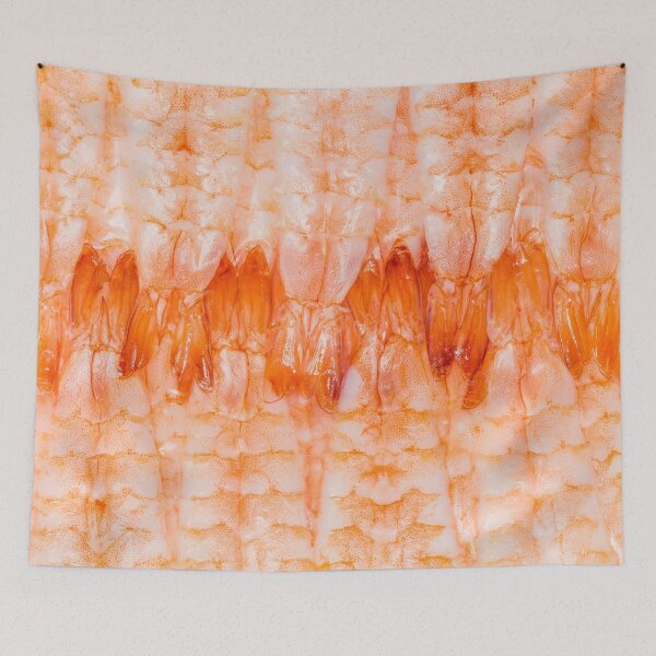 Item preview, Shrimp Sushi / Sashimi Close Up designed and sold by snkatk.