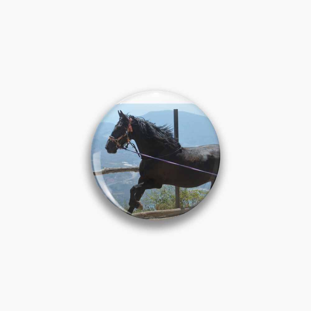 Coco in the corral Pin