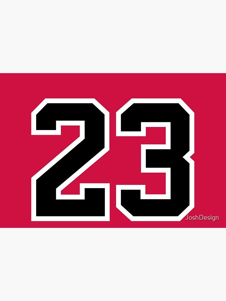 Michael Jordan Logo 23