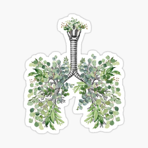 Artikel-Vorschau von Lunge, blühende Eukalyptusblätter, Anatomie, Aquarellblaue Schmetterlinge, designt und verkauft von Collagedream.