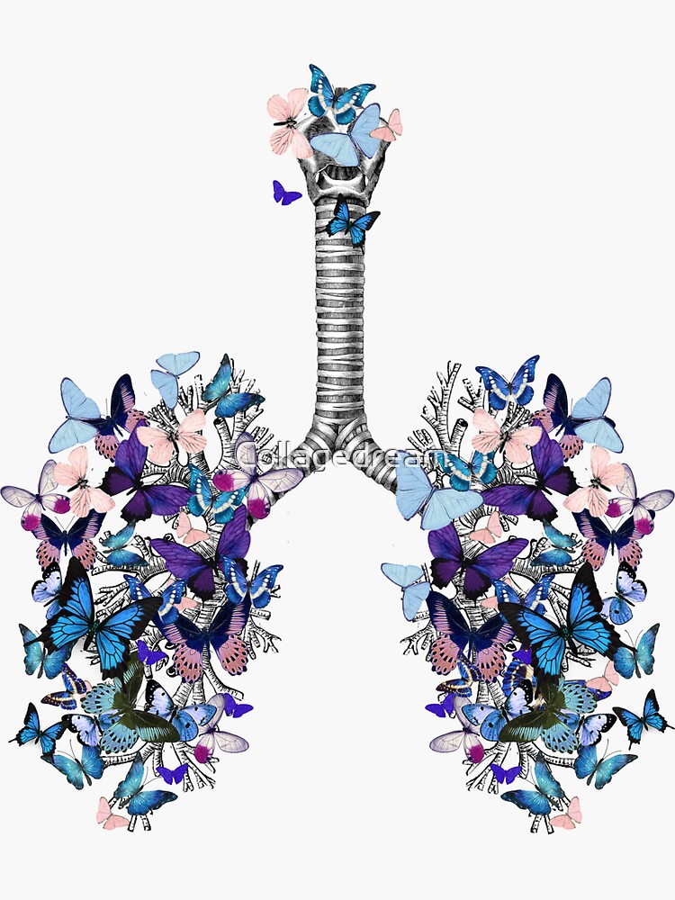 "lungs blue butterflies, anatomy, watercolor" Sticker for Sale by
