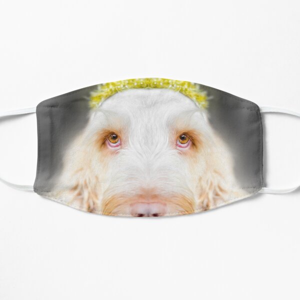 Spinone Spirit Mask