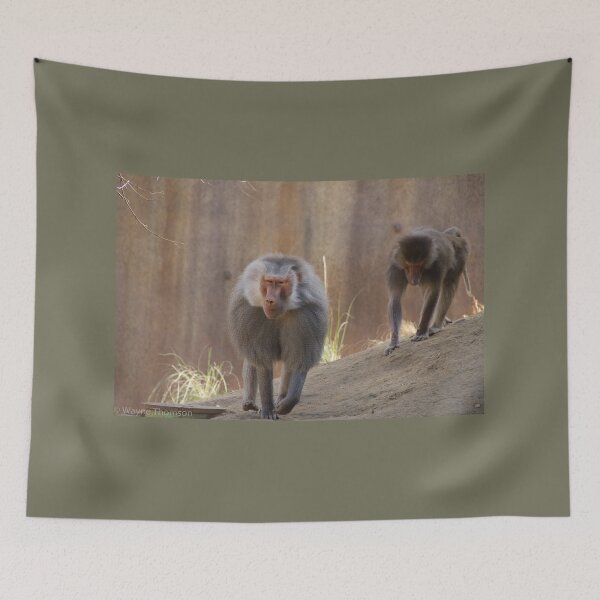 Item preview, Chase designed and sold by Wayne Thomson.