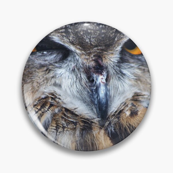 Item preview, Eagle Owl designed and sold by days-photographic.