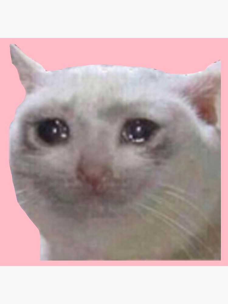 Плачущий кот почему. Плачущий. Котик плачет мем. Пуськабой. Кот чего вы добиваетесь.