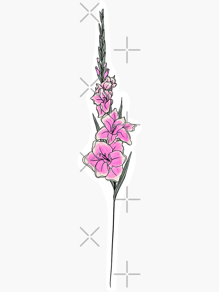 Gladiolus August Stock Illustrations – 65 Gladiolus August Stock  Illustrations, Vectors & Clipart - Dreamstime