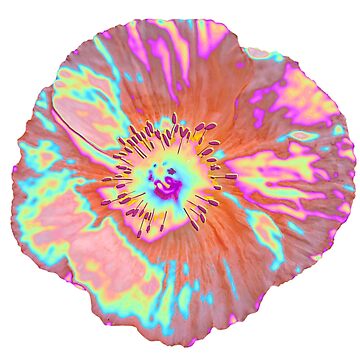 Artwork thumbnail, Iridescent Icelandic Poppy by dinaaaaaah