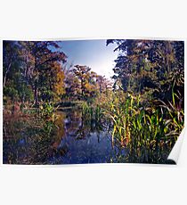 Spring Run. Wacissa Springs. Poster