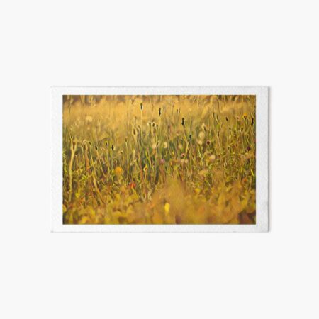 Golden summer meadow Art Board Print
