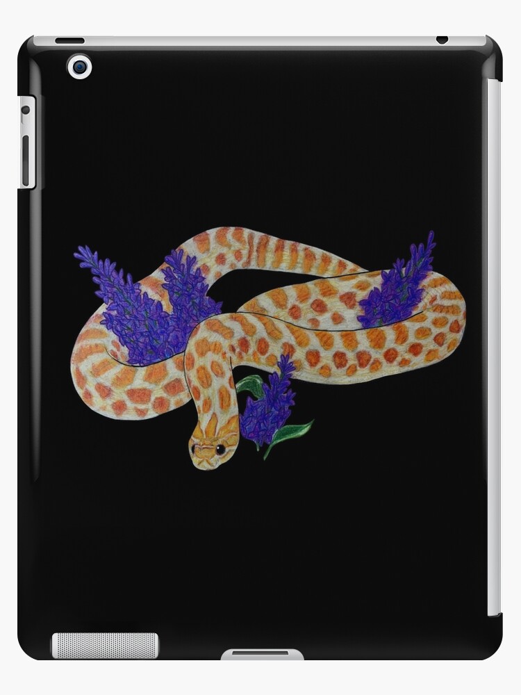 Tricolor Hognose Sticker for Sale by Madison Whitaker