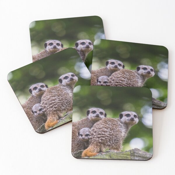 Item preview, Baby meerkat between its parents designed and sold by wellsie82.