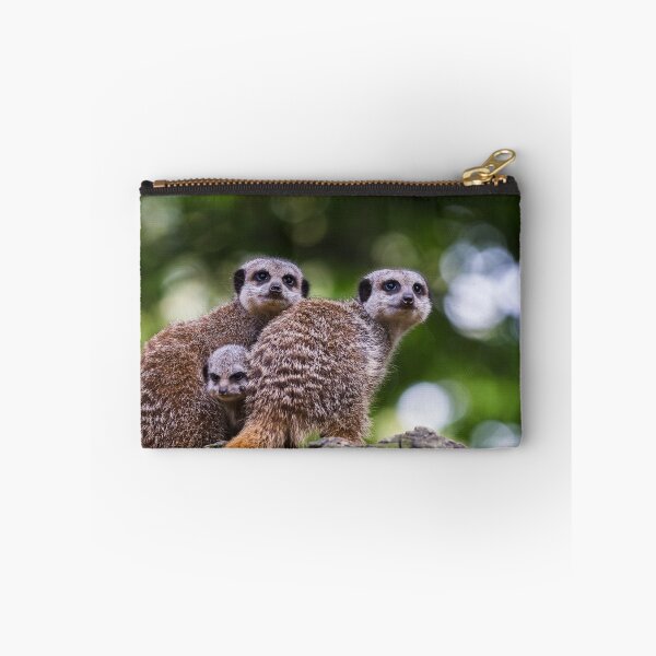 Item preview, Baby meerkat between its parents designed and sold by wellsie82.