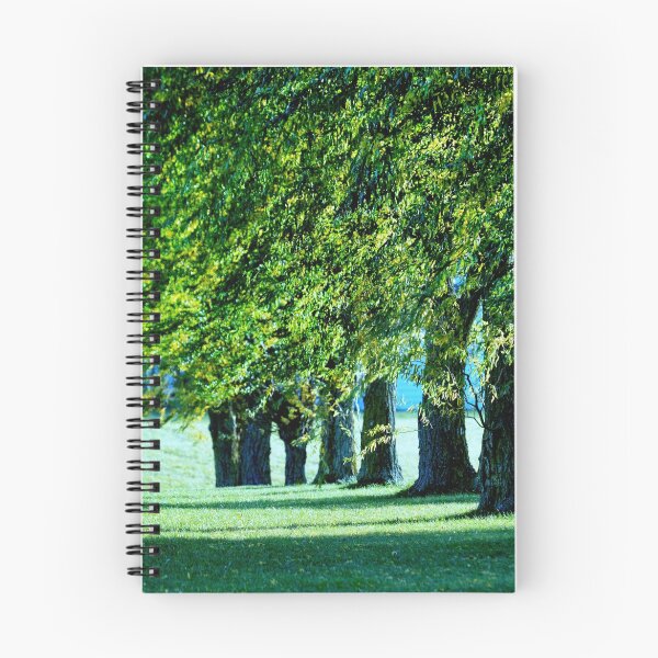 Item preview, Sunlit Treeline designed and sold by Laurie Minor.