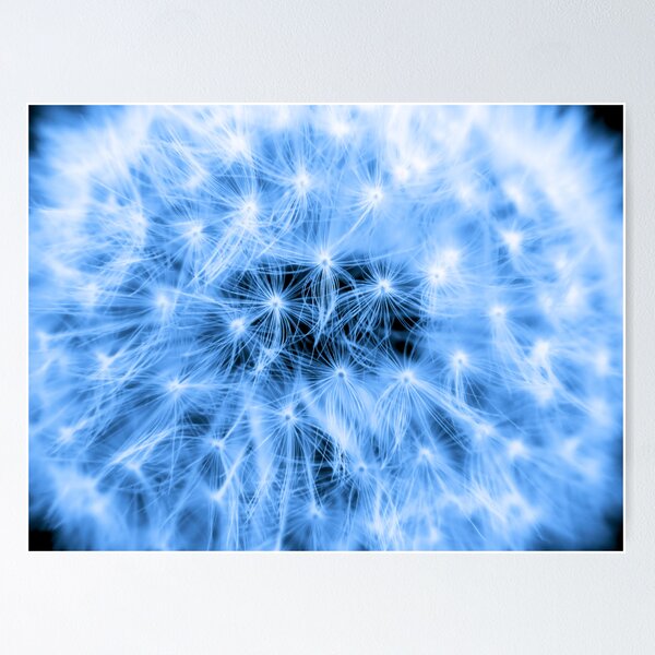Aperçu de l'œuvre Blue Puff Ball créée et vendue par Sharon Woerner.