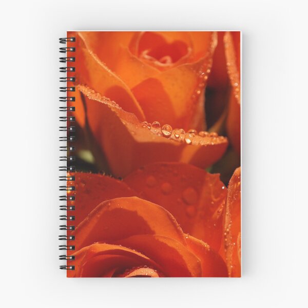Item preview, Roses macro shot designed and sold by Anowi.