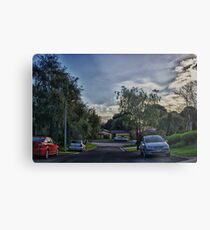 Suburbia Metal Print