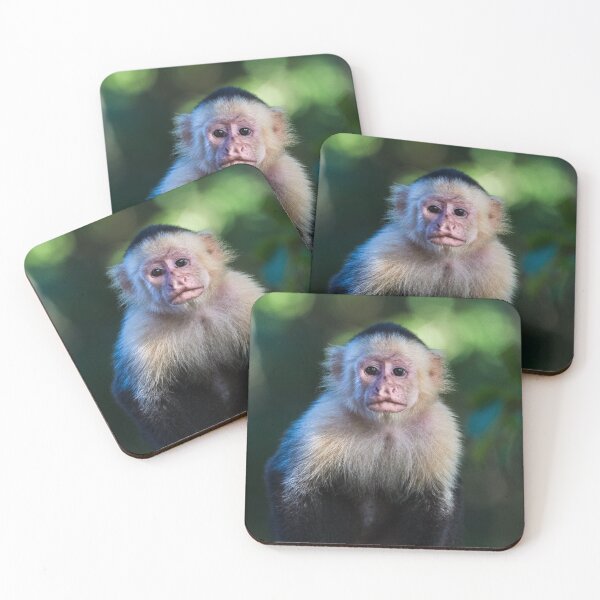 Item preview, Square cropped white faced capuchin portrait designed and sold by wellsie82.