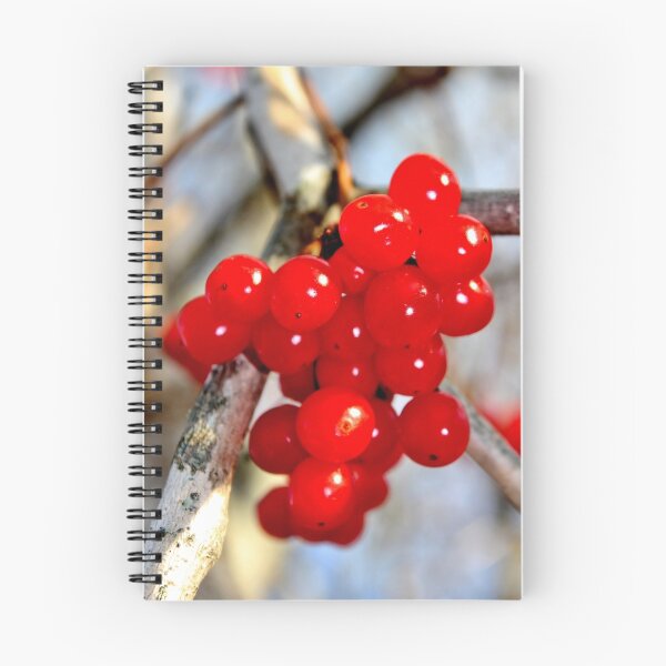 Item preview, Ripe Highbush Cranberries designed and sold by Kathleen Daley.