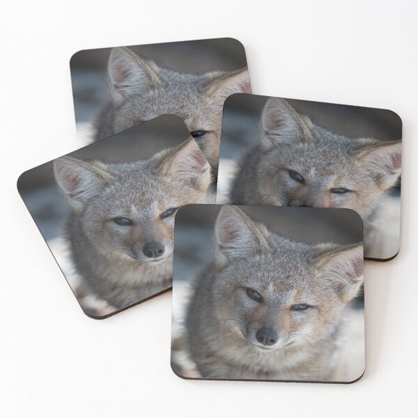 Item preview, Patagonian Fox Cub on Weddell Island  designed and sold by Simon Verrechia.