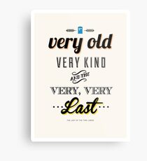 The Last of the Time Lords Metal Print