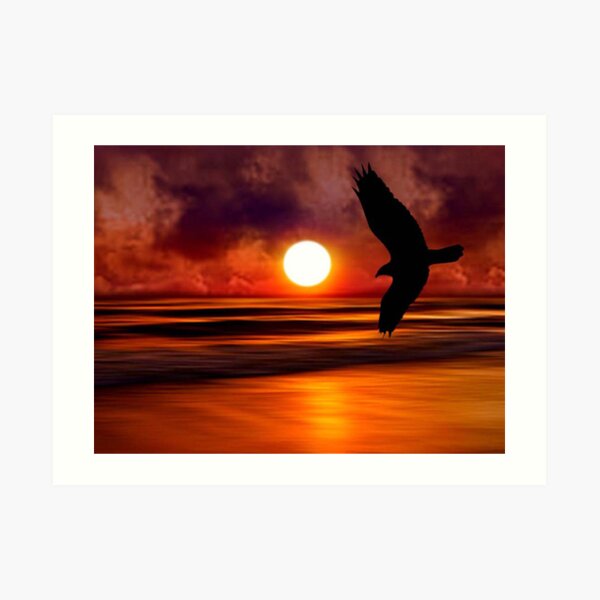 Dreams Fly Beyond Sunset Point Art Print
