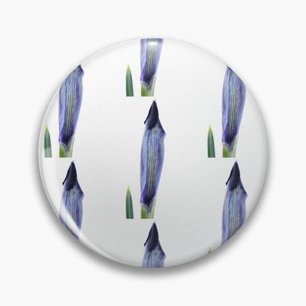 Item preview, Iris histrioides  'Halkis'  Reticulata   designed and sold by Chris Burrows.