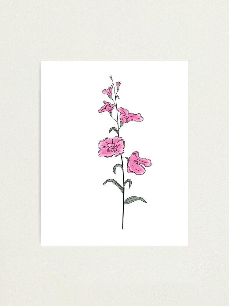 Impression photo « Fleur de mois de naissance d'avril | Pois de senteur |  Couleur », par ekwdesigns | Redbubble