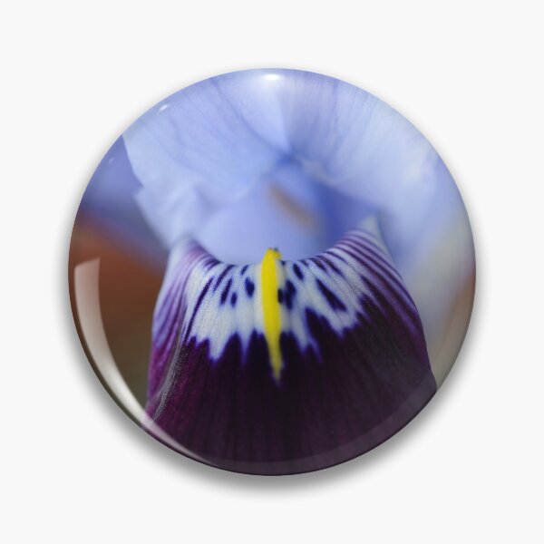 Item preview, Iris histrioides  'Halkis'  Reticulata   designed and sold by Chris Burrows.