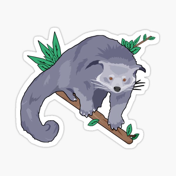 Binturong Stickers | Redbubble