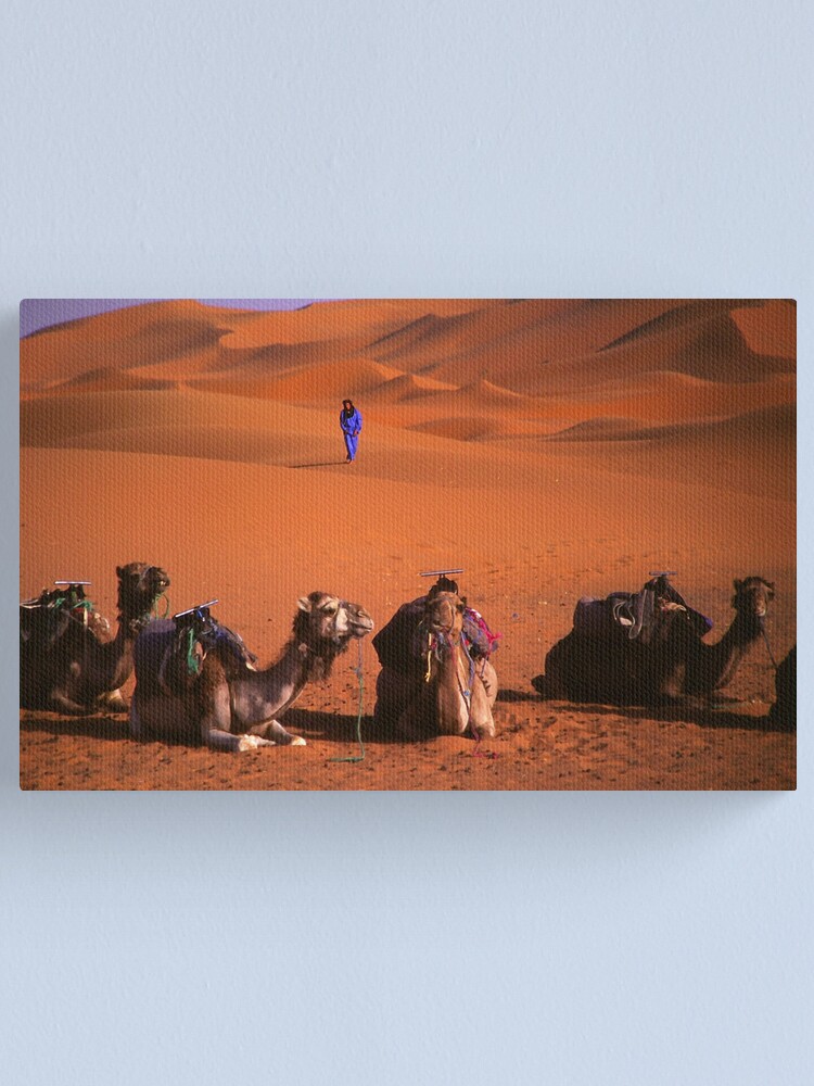 Alternate view of the sahara Canvas Print