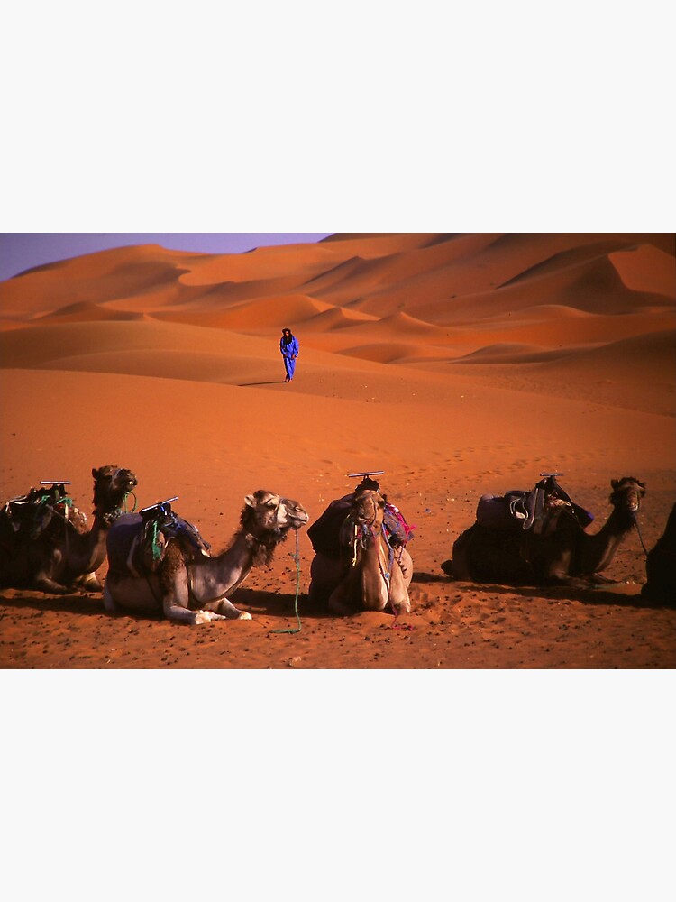 the sahara by alexsupertramp