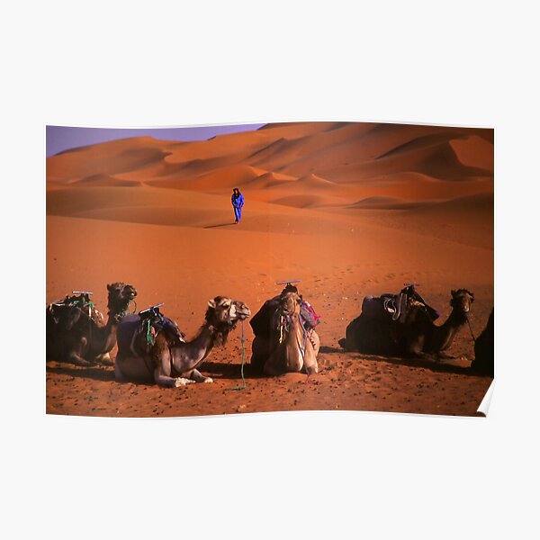 the sahara Poster