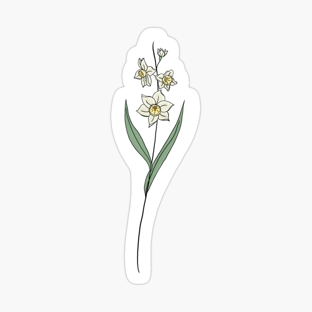 Narcissus flower tattoo located on the inner forearm,