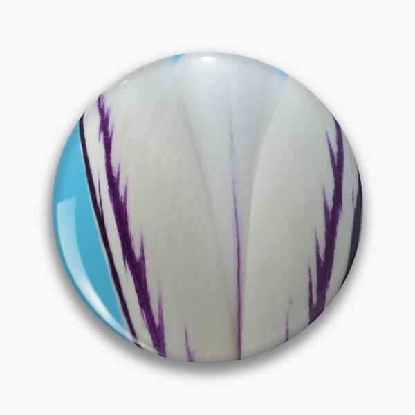 Item preview, Crocus versicolor  'Picturatus'   designed and sold by Chris Burrows.