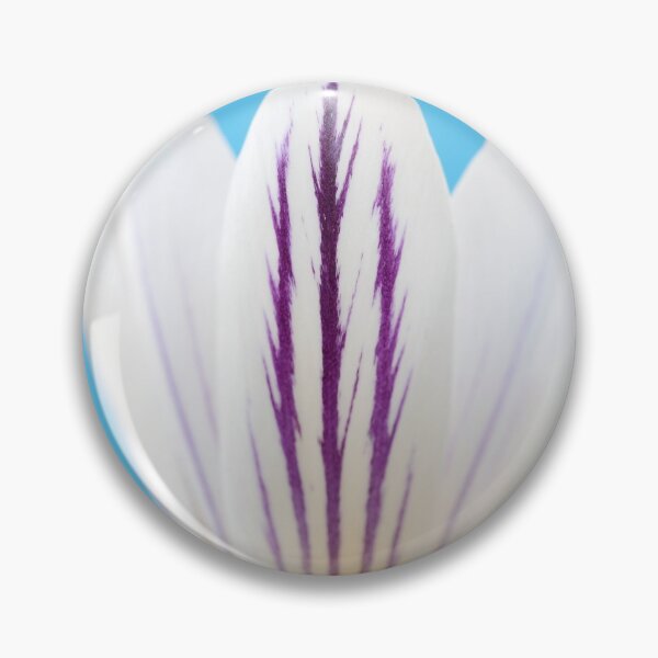 Item preview, Crocus versicolor  'Picturatus'   designed and sold by Chris Burrows.